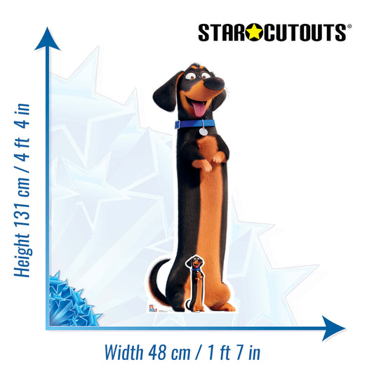SC1376 Buddy Sausage Dog Secret Life of Pets Cardboard Cut Out Height 131cm