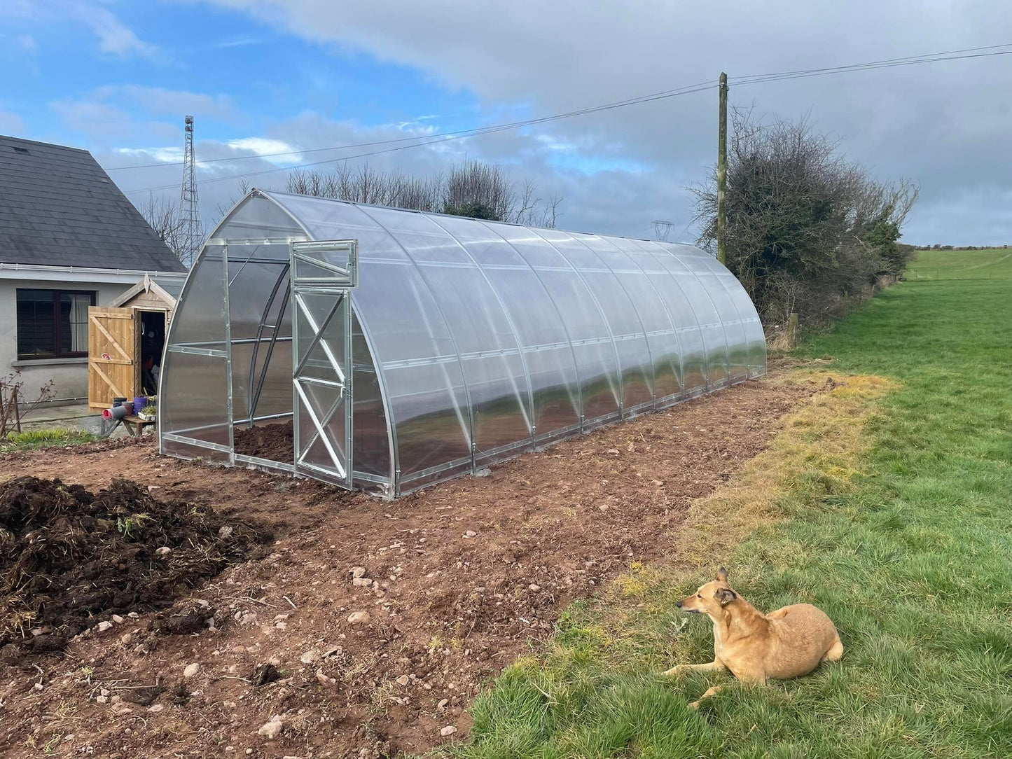 GREENHOUSE SUNGROW, 36M² (3M X 12M; 9.8FT X 39.4FT)