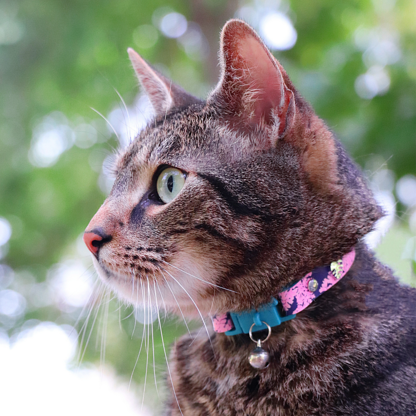 KITTYRAMA BOTANICALS FERN CAT COLLAR - Quick Release, Breakaway, Hypoallergenic
