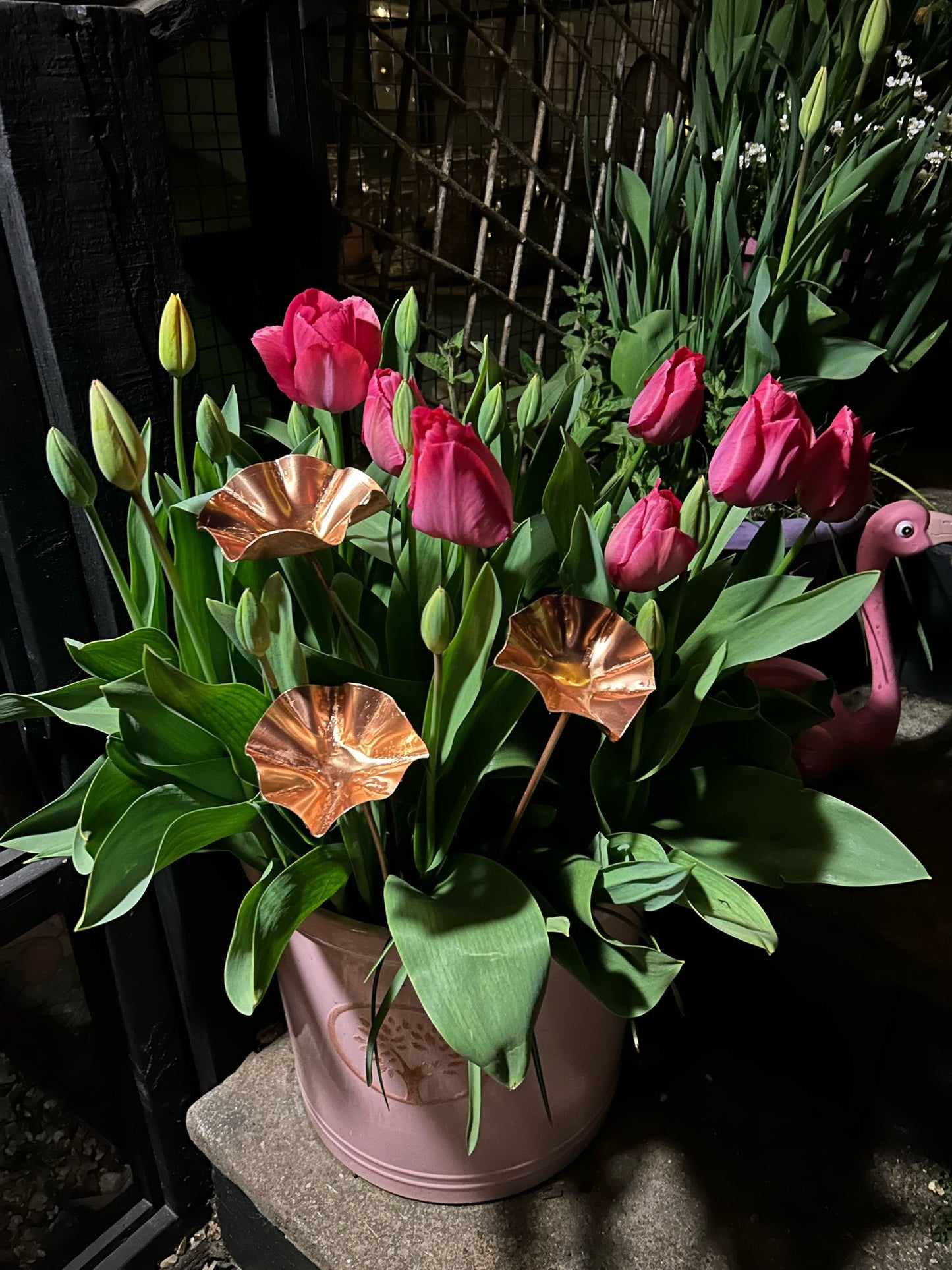 3 x Copper Bee Drinker Bundle