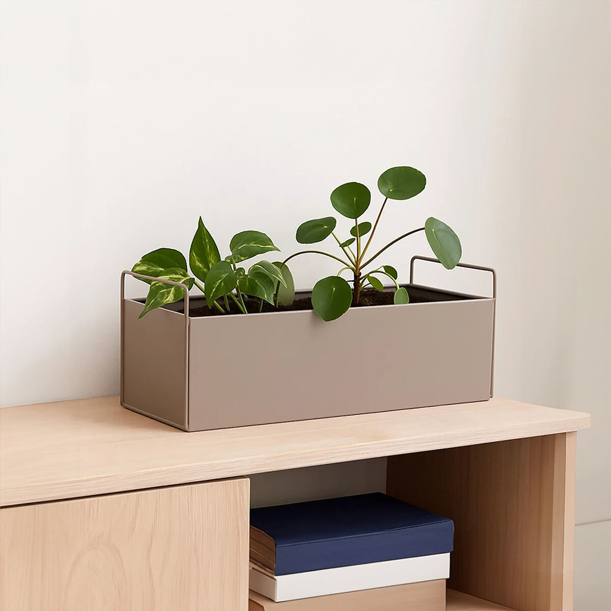 Asher Large Natural Wall Plant Box
