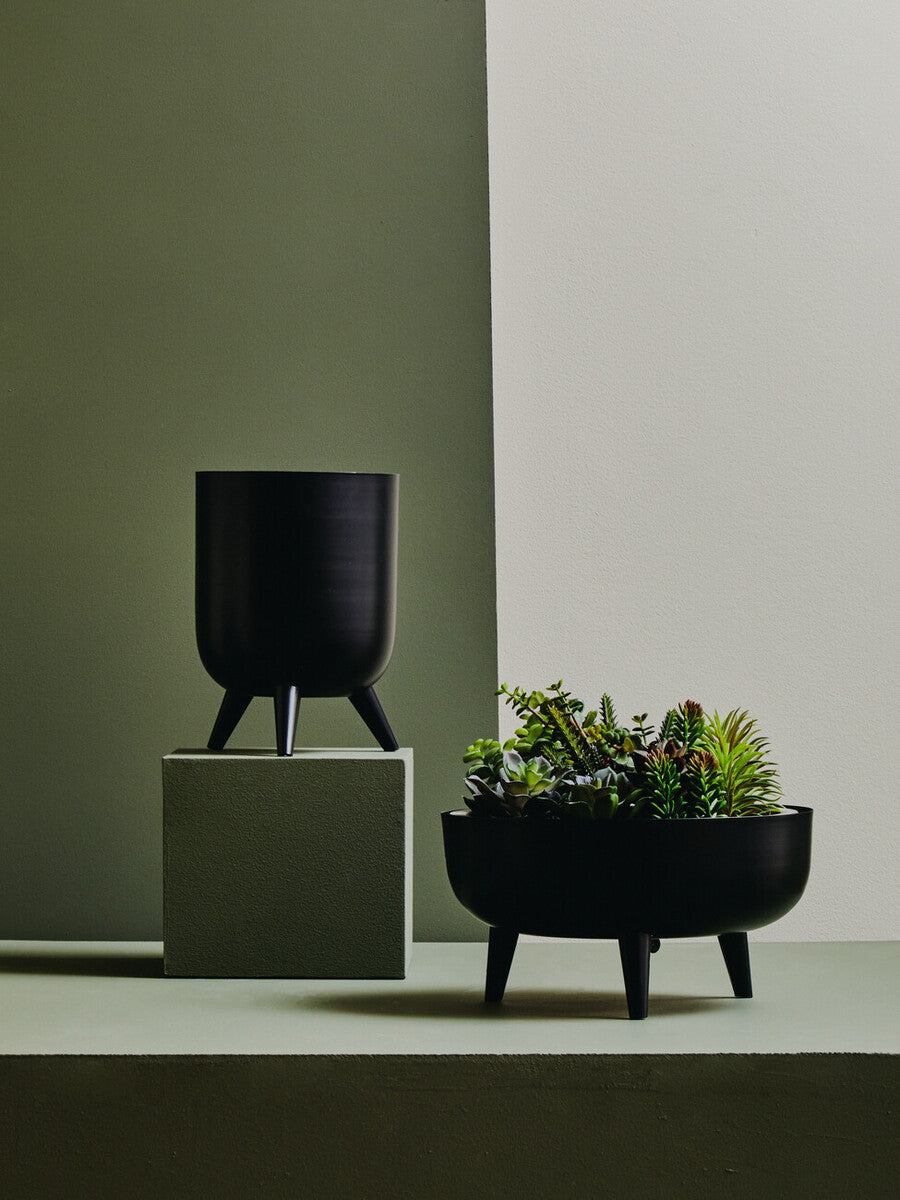 Black Vase | Alina