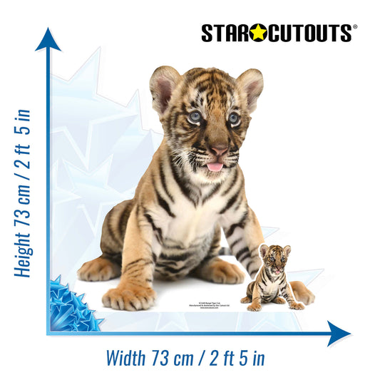 SC1440 Bengal Tiger Cub Cardboard Cut Out Height 73cm