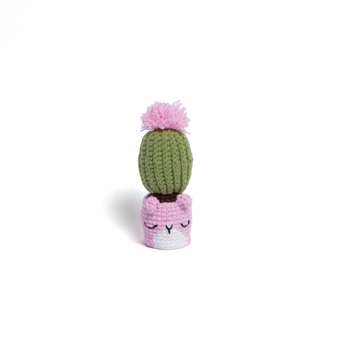 Irresistibly Cute Crochet Cactus Family – Lovable Succulent Amigurumi Plush Collection