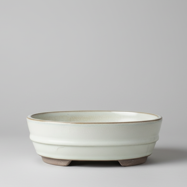 16cm Glazed Bonsai Pot | Oval | 16cm x 12cm x 3cm | White