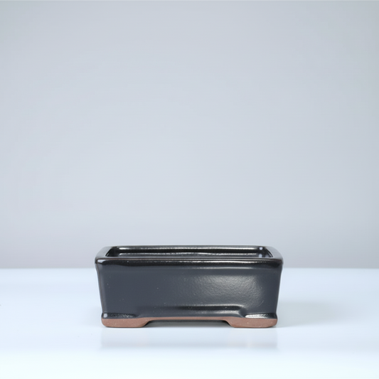 16cm Glazed Bonsai Pot | Rectangle | 16cm x 13cm x 6cm | Black