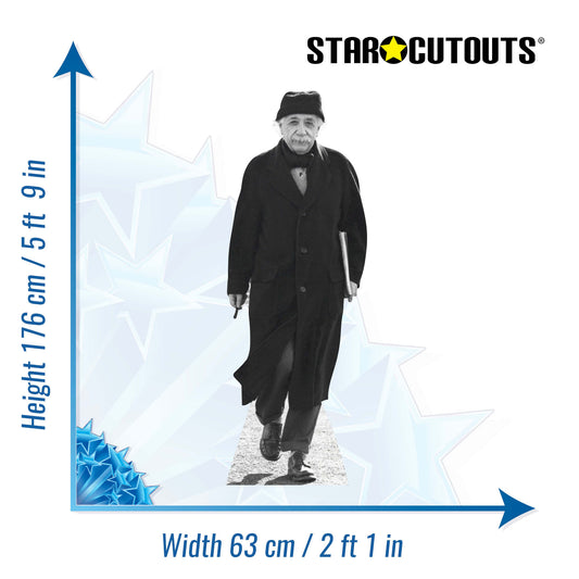 SC174 Albert Einstein Cardboard Cut Out Height 176cm