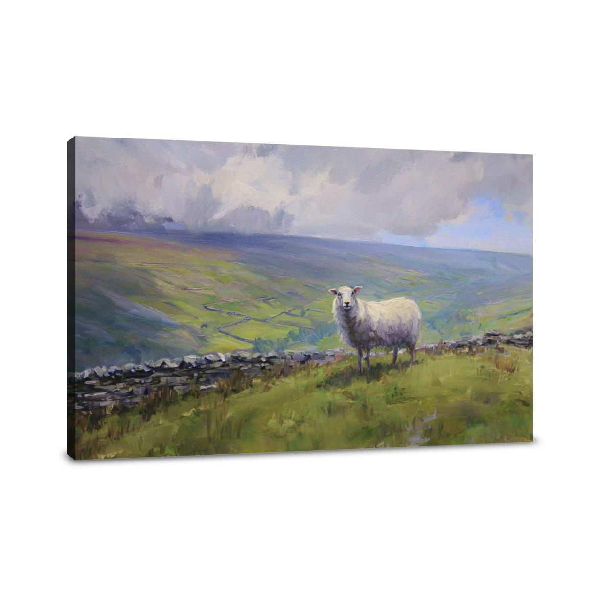 Sheep on Yorkshire Canvas