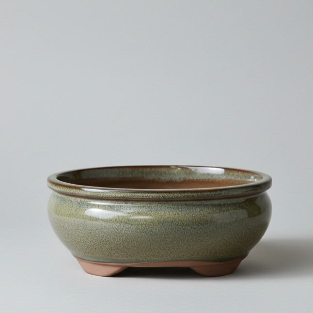 18cm Glazed Bonsai Pot | Oval | 18cm x 15cm x 6cm | Green