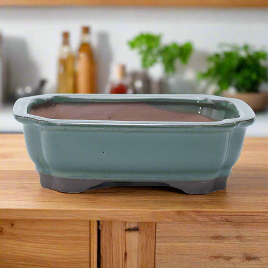 18cm Glazed Bonsai Pot | Rectangle | 18cm x 14cm x 4cm | Green