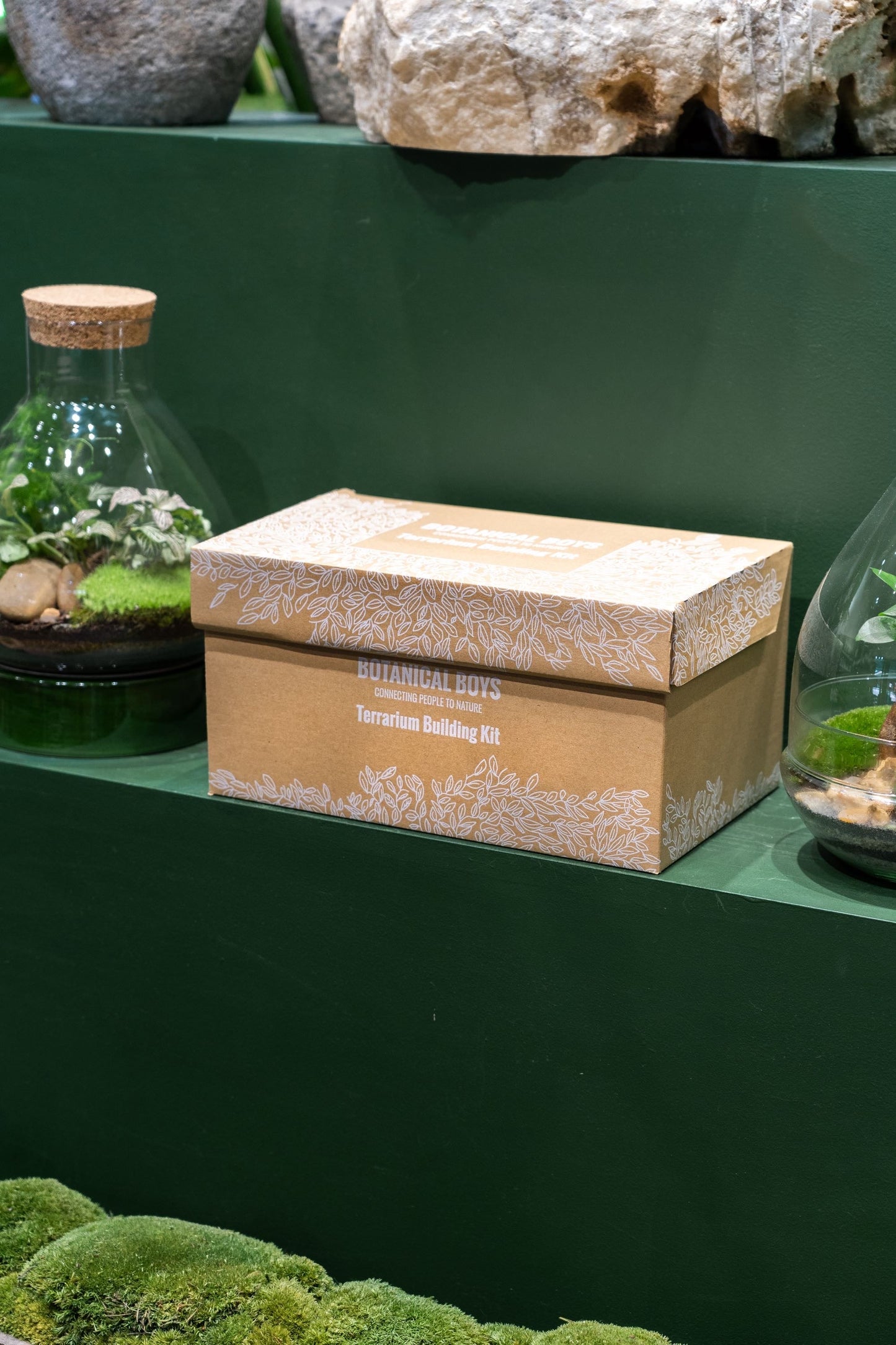Large glass egg terrarium kit - 26cm