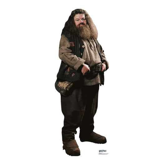 SC1964 Hagrid Star Mini Cardboard Cut Out Height 91cm