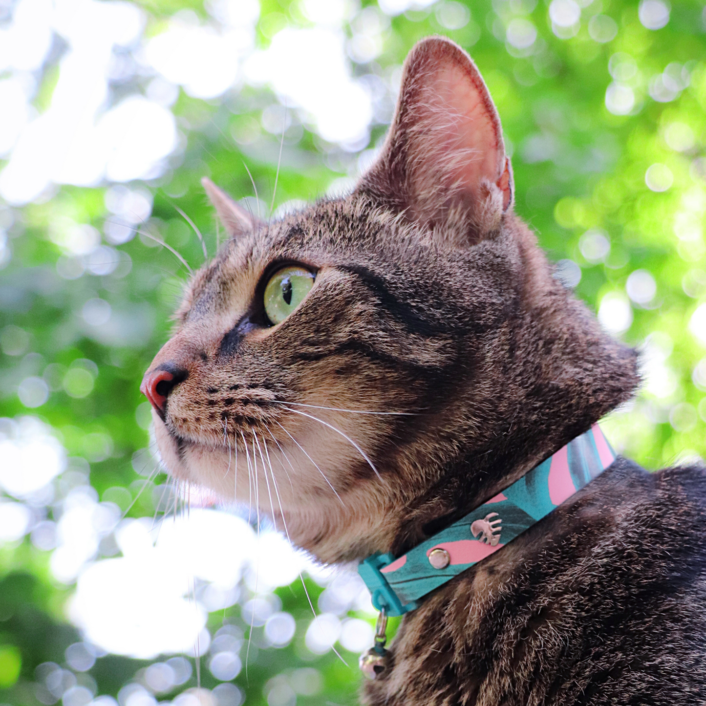 KITTYRAMA BOTANICALS MONSTERA CAT COLLAR - Quick Release, Breakaway, Hypoallergenic