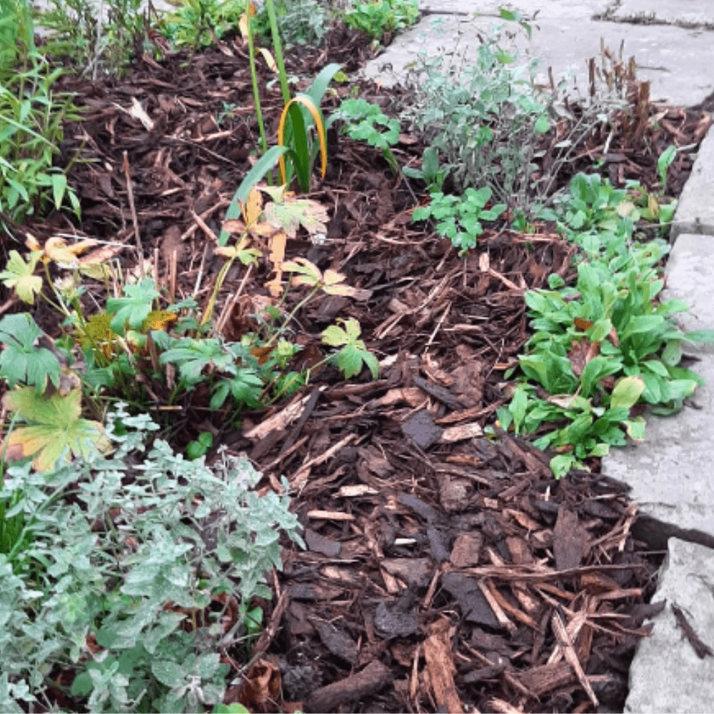 Winter Garden Bark Mulch