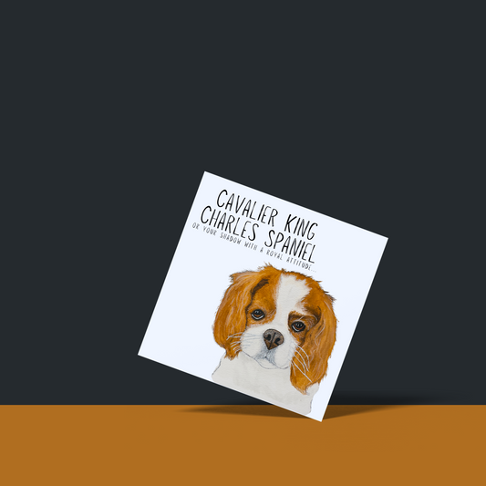 Royal Regards: High-End Cavalier King Charles Spaniel Greeting Card with Noble Sass