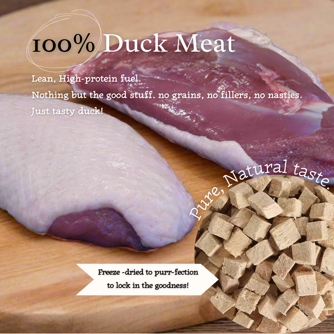 Ducky Delights - 100% Freeze-Dried Duck Treats | Novel Protein | Tail Tips UK | 40g pack