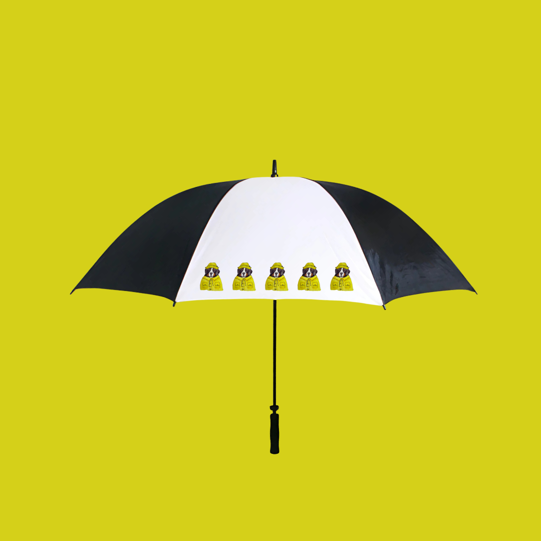 Berner-Sized Protection – Stay Dry in Giant Furry Style!