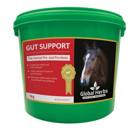 Gut support - Global Herbs
