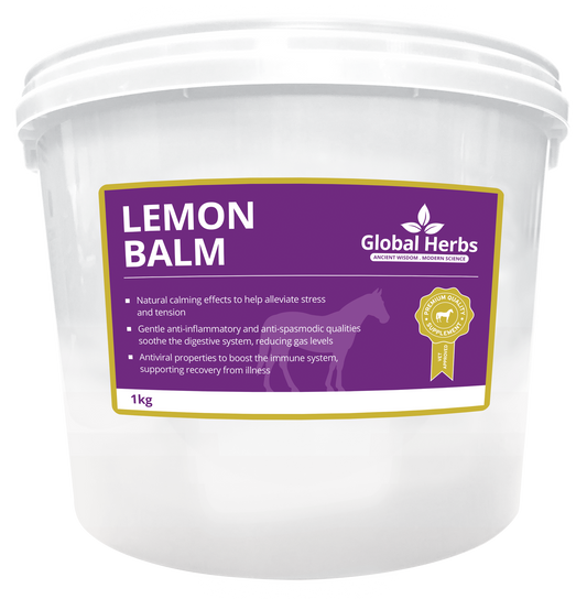 Lemon Balm - Global Herbs