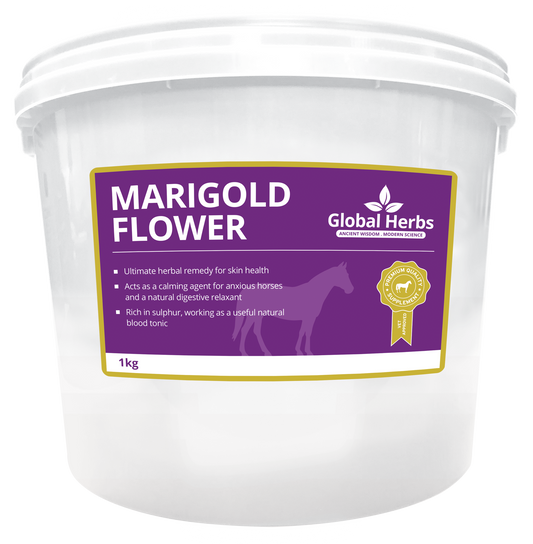 Marigold Flower - Global Herbs
