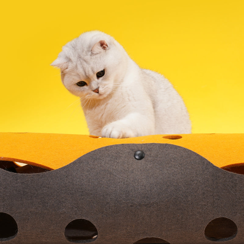 zeze Felt Cat Tunnel (Orange) — Cheese-Style Tunnel with Peek Holes