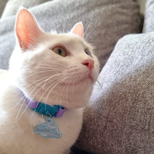 KITTYRAMA CLOUD CAT CHARM – Reflective, Safe, High Visibility