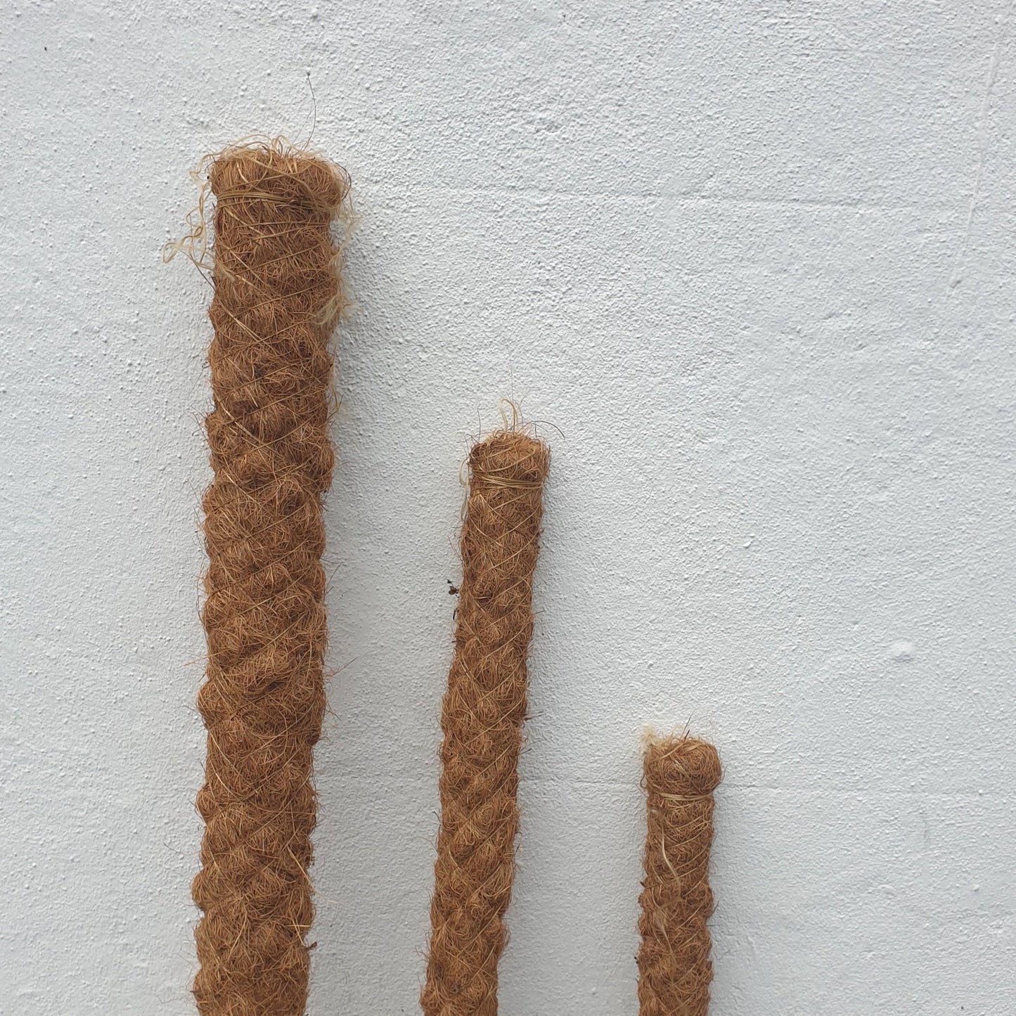 Moss pole- 5 sizes 50cm 80cm,100cm, 120cm, 150cm