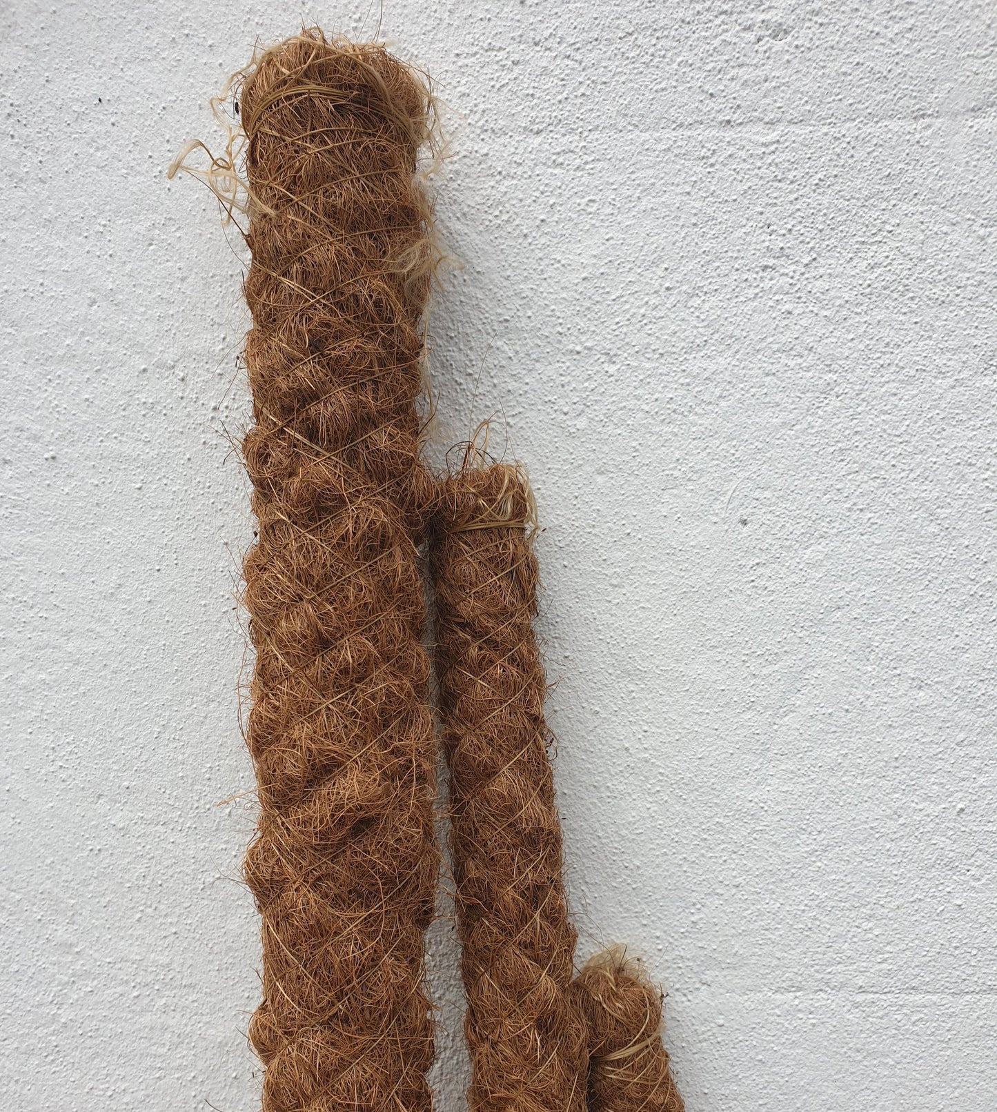 Moss pole- 5 sizes 50cm 80cm,100cm, 120cm, 150cm