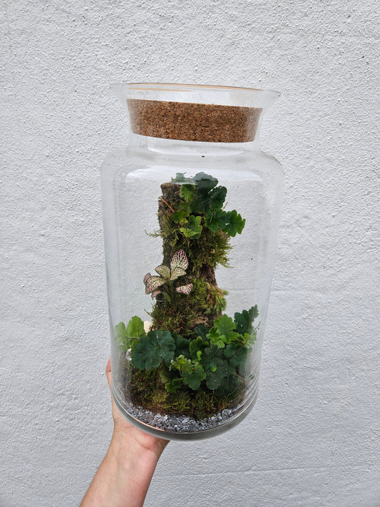 Tall Planted Cork Terrarium