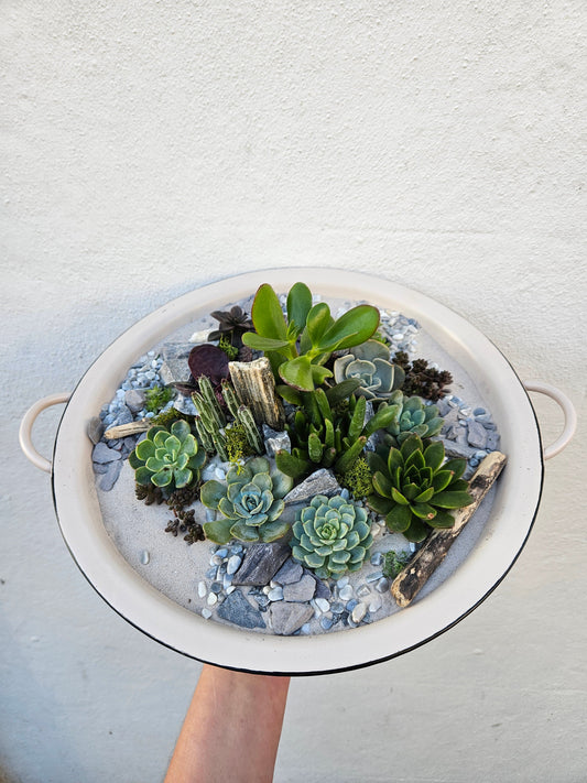 19/04/2026 at 11am Open Terrarium workshop