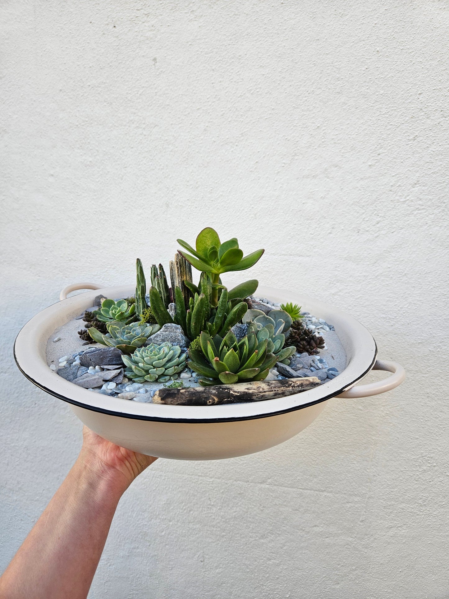 24/01/2026 at 11am Open Terrarium workshop