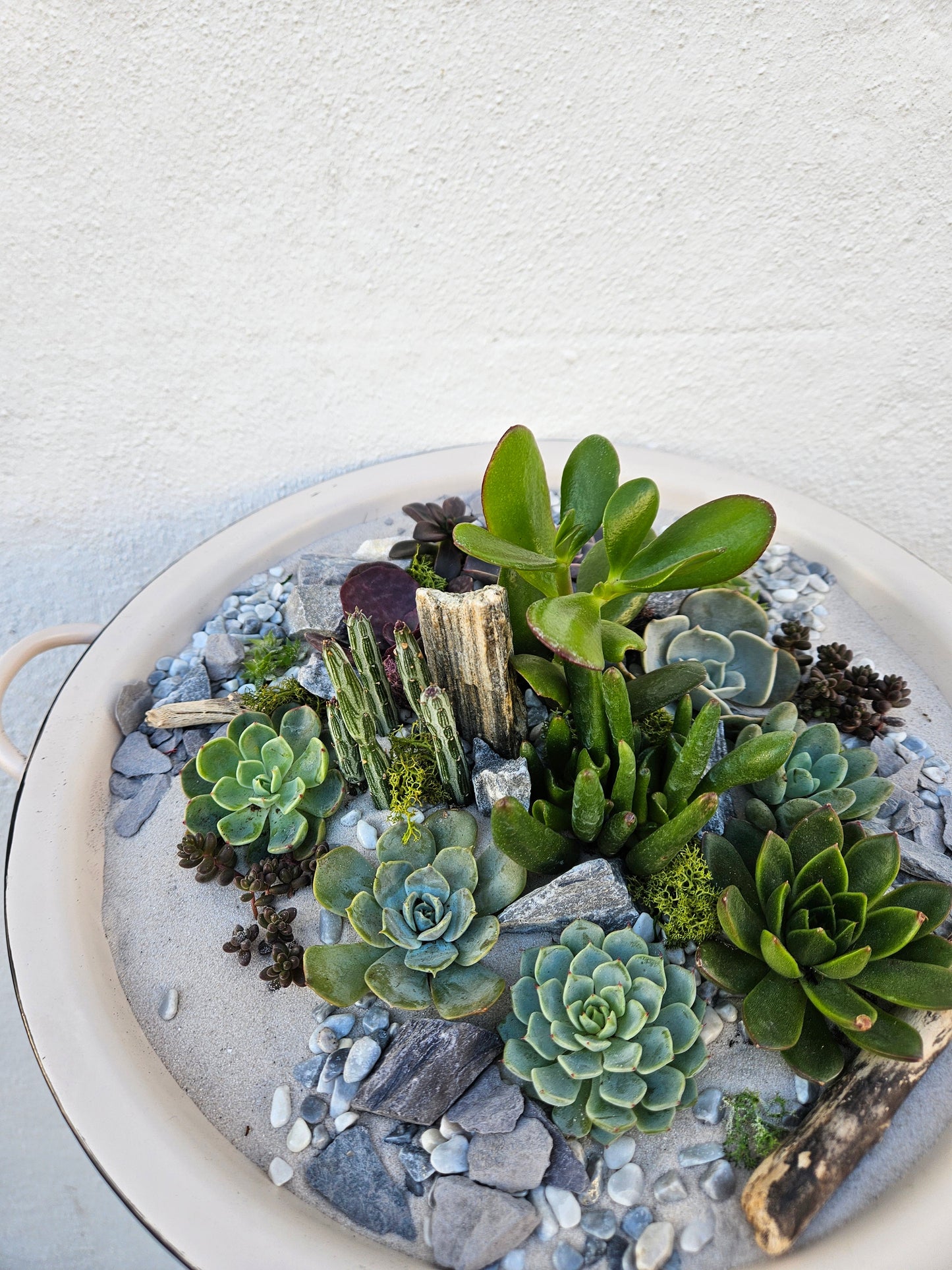 19/04/2026 at 11am Open Terrarium workshop