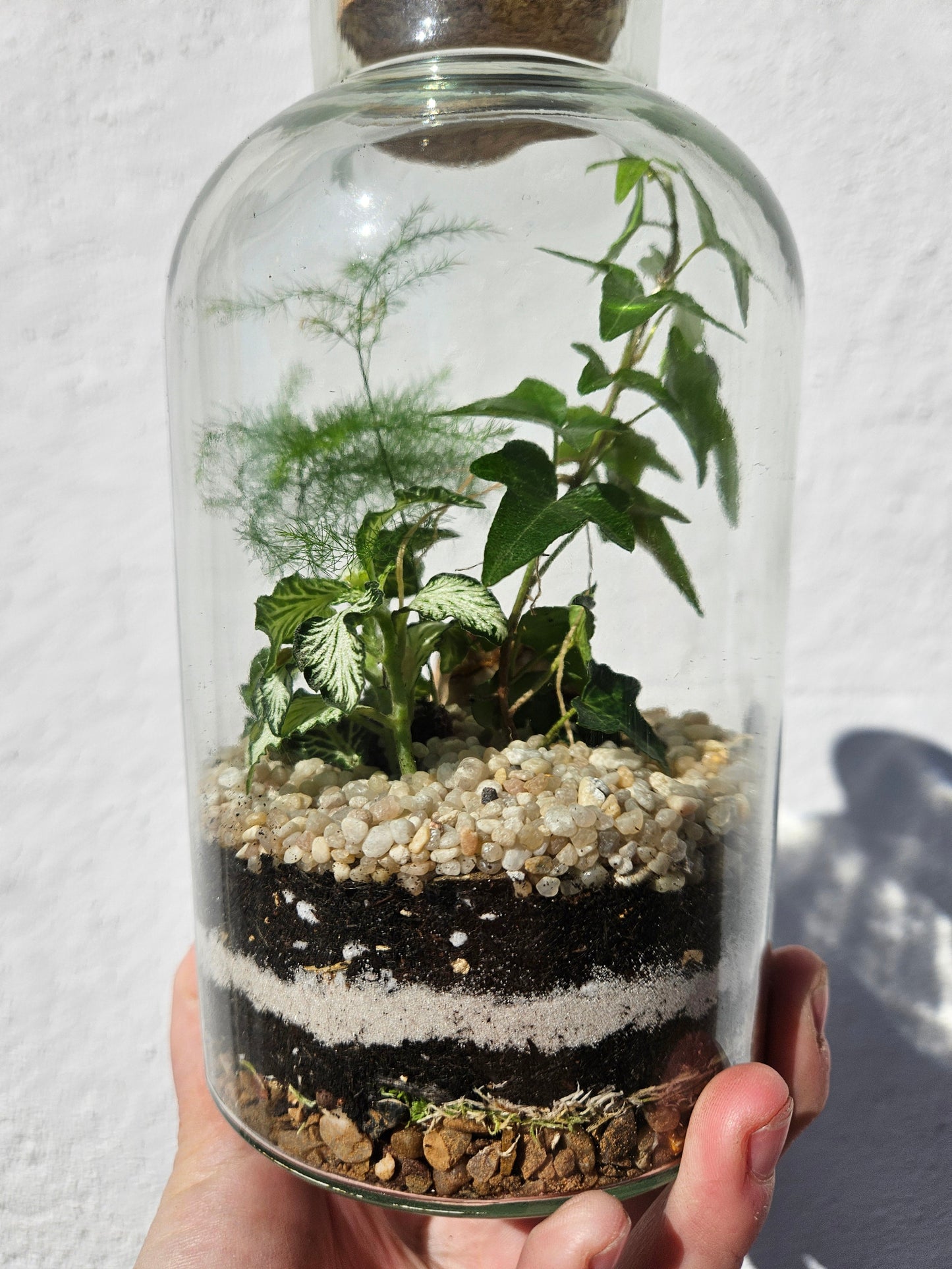 21/05/2026 at 6pm Small Closed Terrarium Evening Workshop