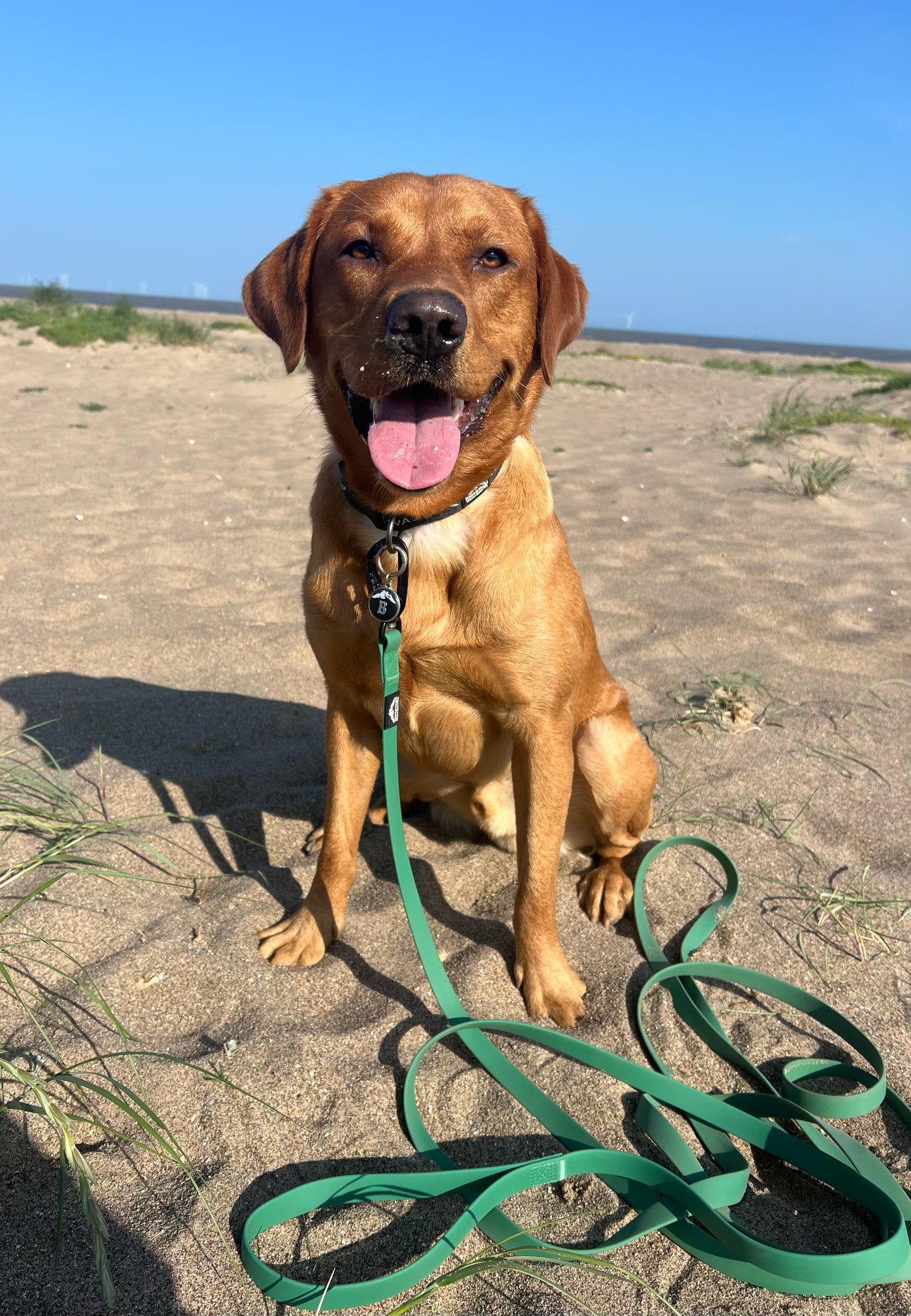 Waterproof 5m Longline Lead | Fido’s Trails  – Durable, Lightweight, Ideal for Dog Training and Outdoor Adventures