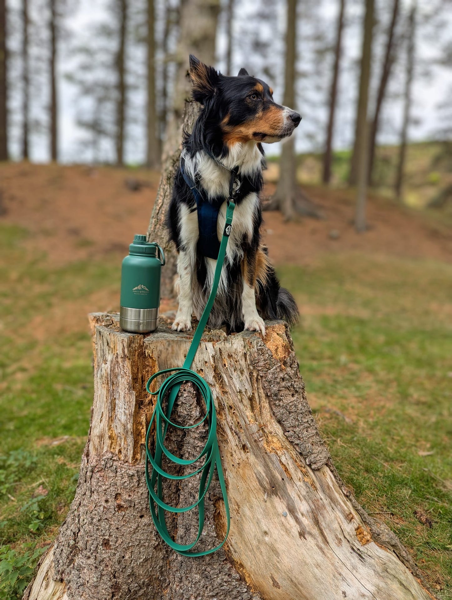 Waterproof 5m Longline Lead | Fido’s Trails  – Durable, Lightweight, Ideal for Dog Training and Outdoor Adventures