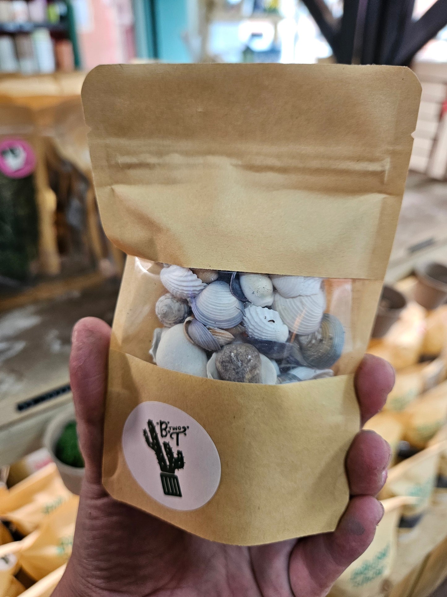 WHOLESALE DECORATIVE SHELLS