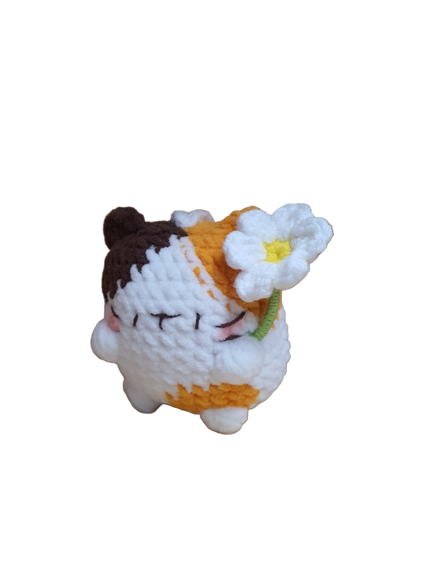 Little Square Cute Kitten Collection