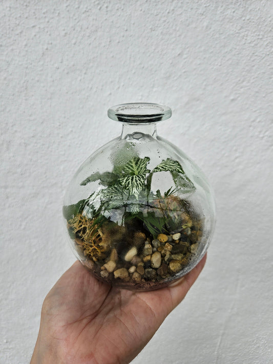 Short round globe Closed Terrarium