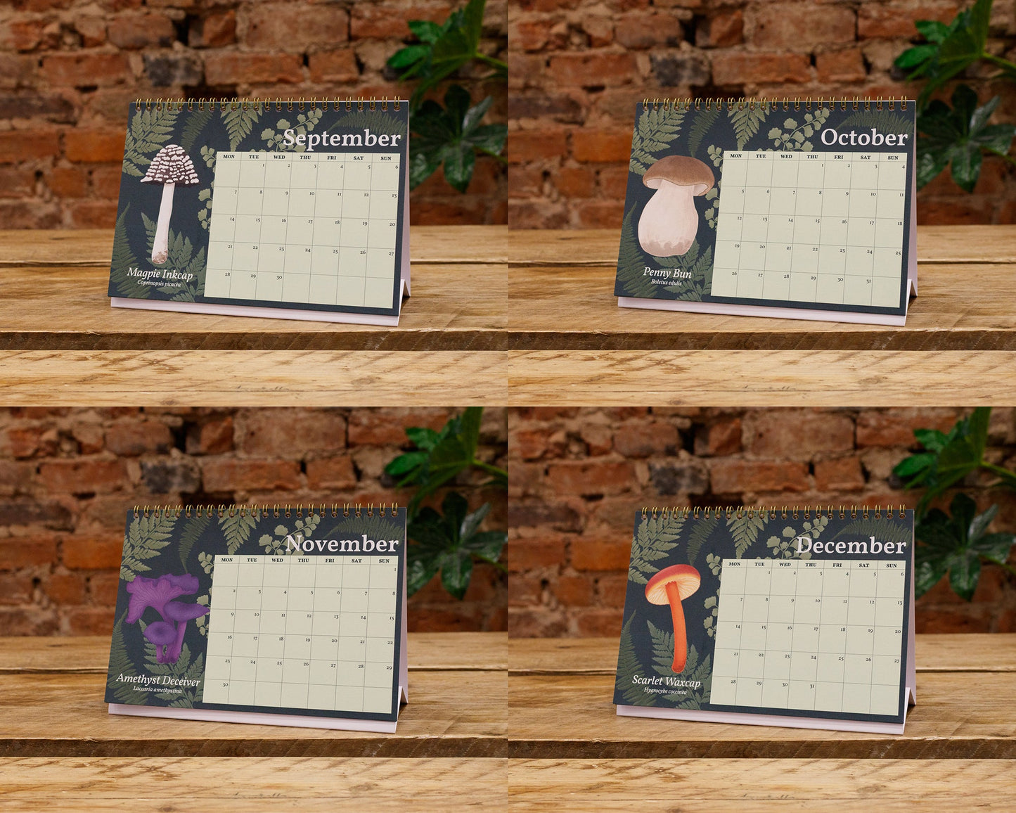 2026 Mushroom Desk Calendar