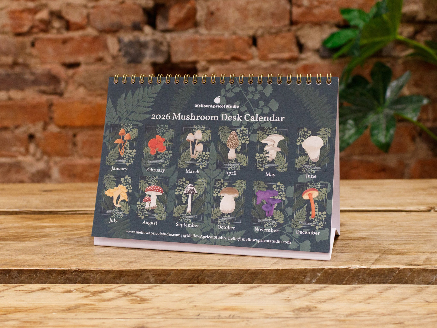 2026 Mushroom Desk Calendar