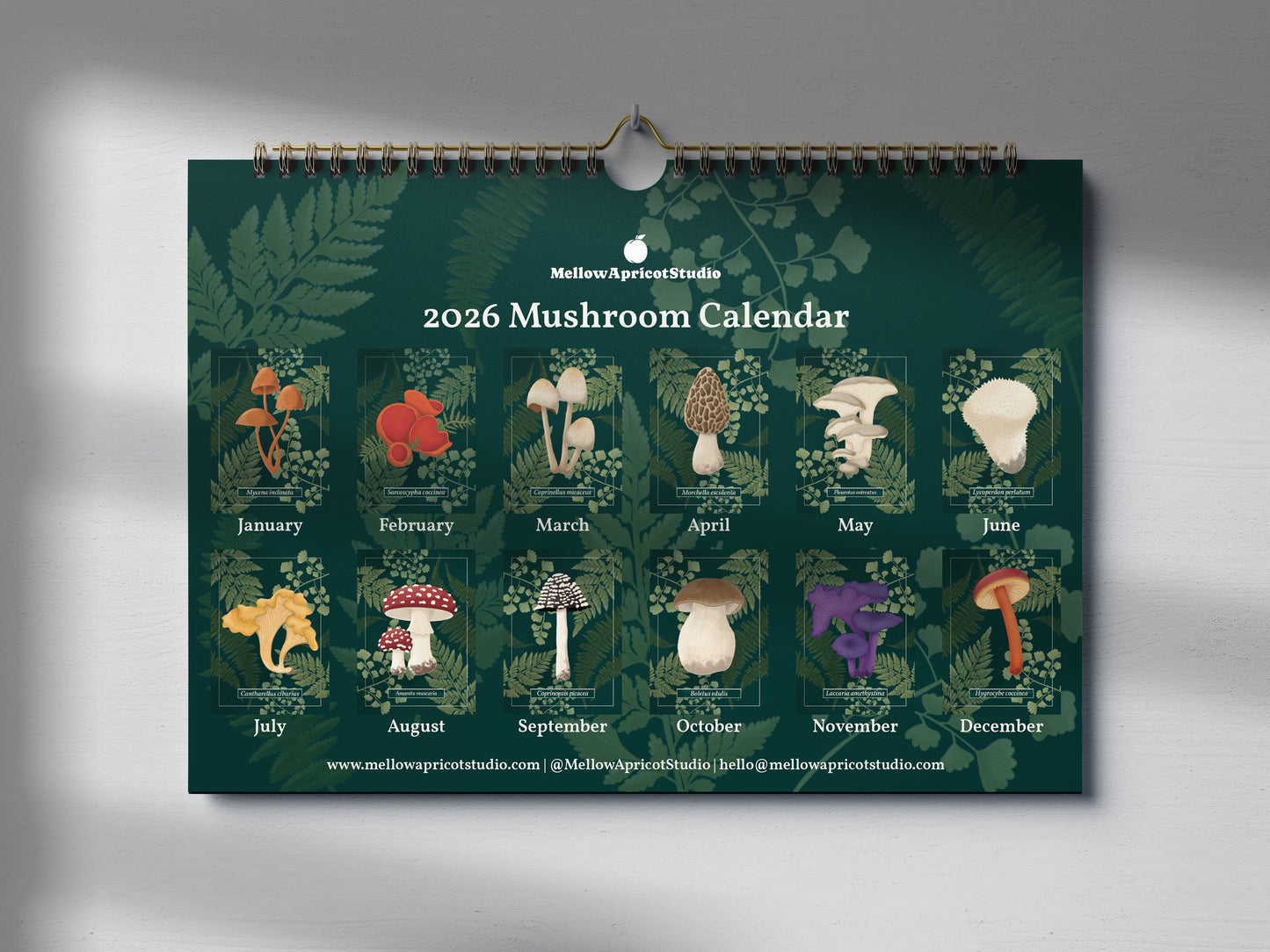 2026 Mushroom Wall Calendar