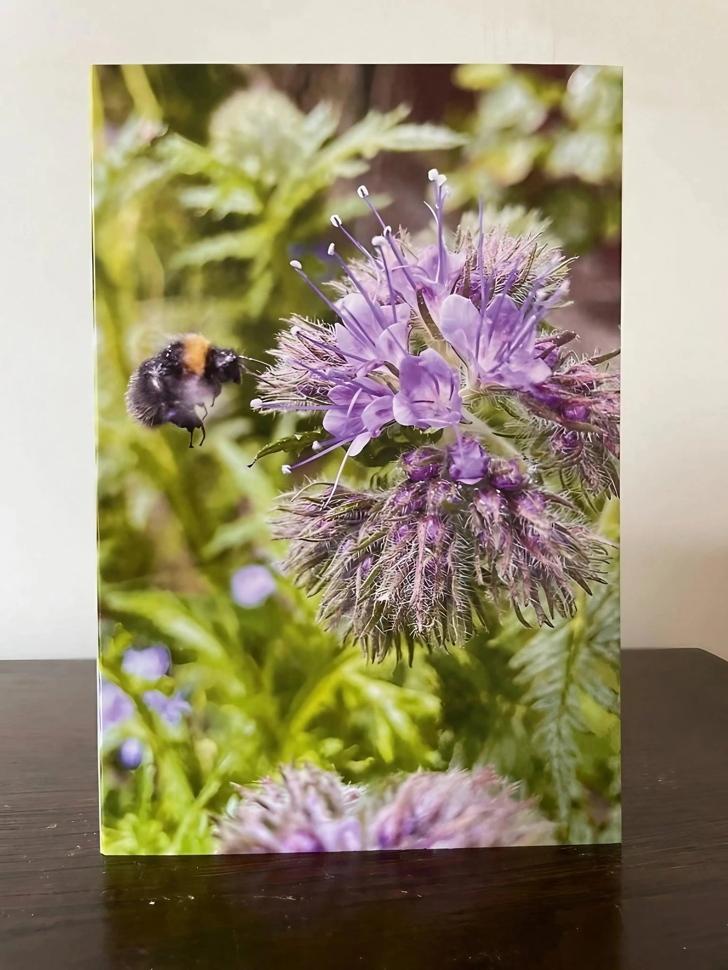 Bee with Phacelia Greeting Card