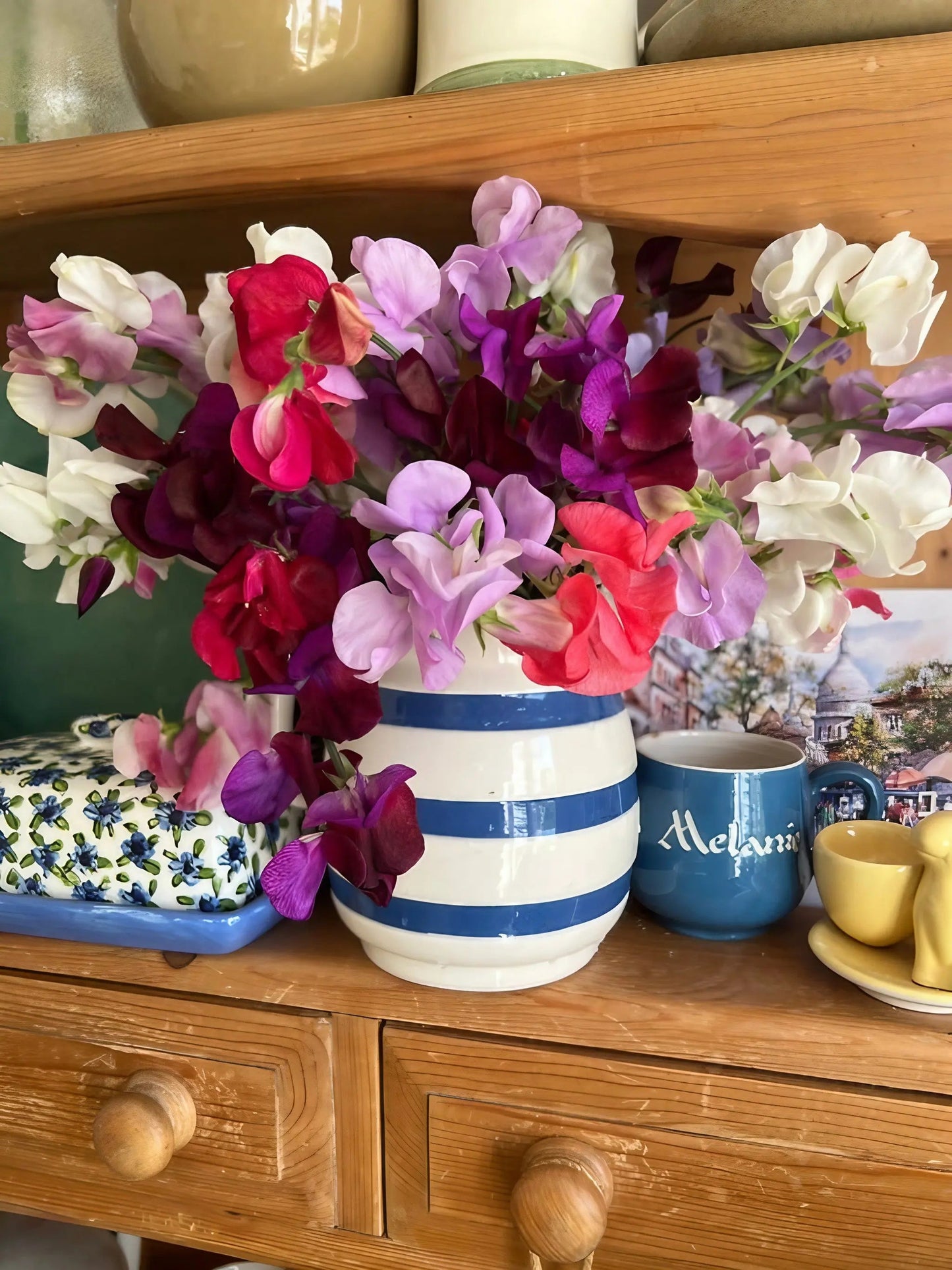 Sweet Pea Bishy Barnabee Mix