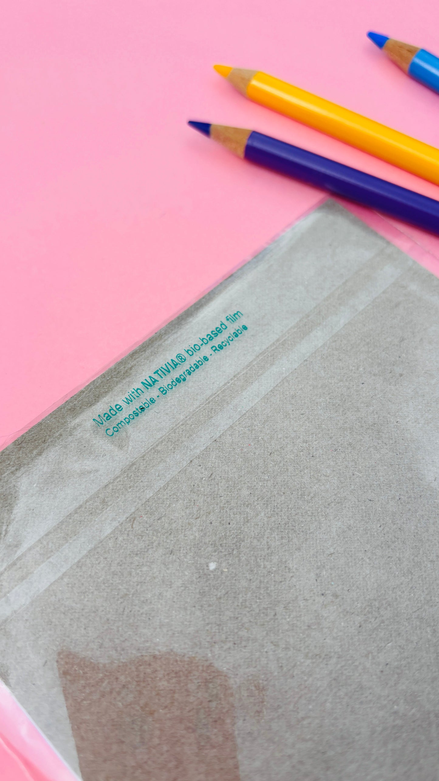 Funny Plant Wall Art- Introvert Gifts: Multiple sizes Available