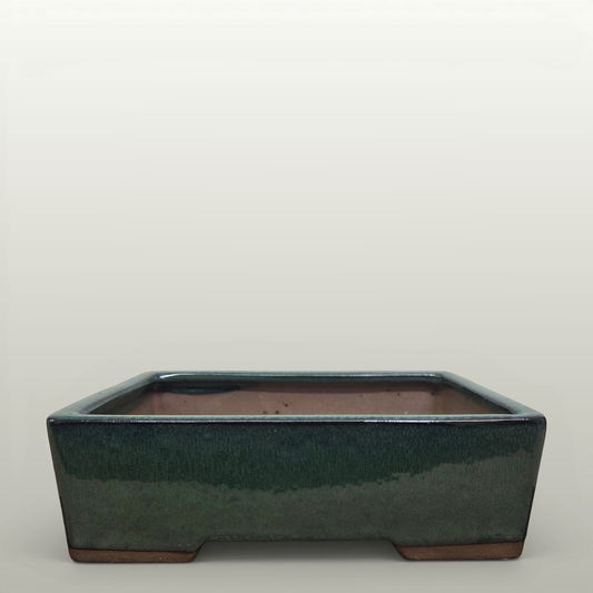 22cm Glazed Bonsai Pot | Rectangle | 22cm x 17cm x 7cm | Dark Green