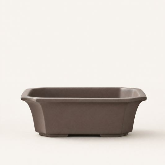 22cm Premium Unglazed Bonsai Pot | Rectangle | 22cm x 18cm x 7cm | Brown
