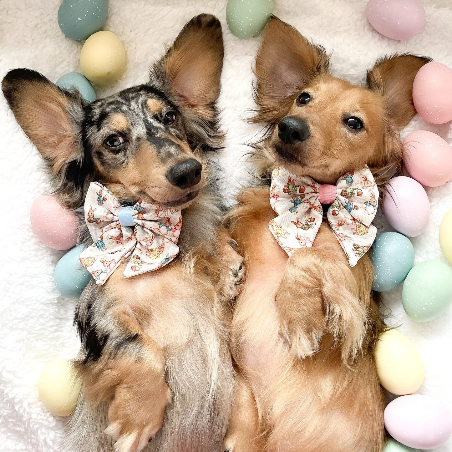 Bunny Tales - Blue, Dog Harness (XXS-XS)