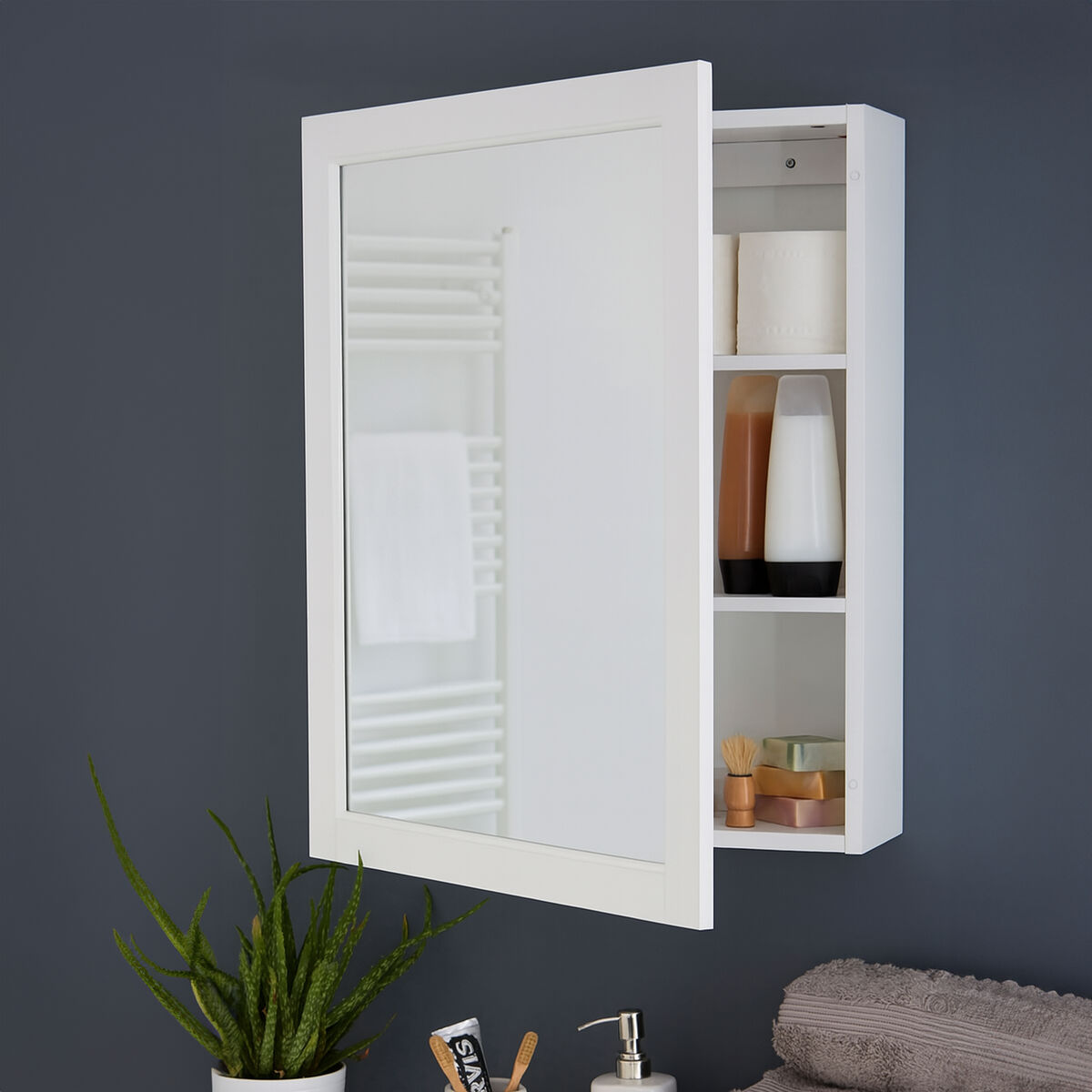 Mirrored Wall Cabinet with 2 Inner Shelves | Port