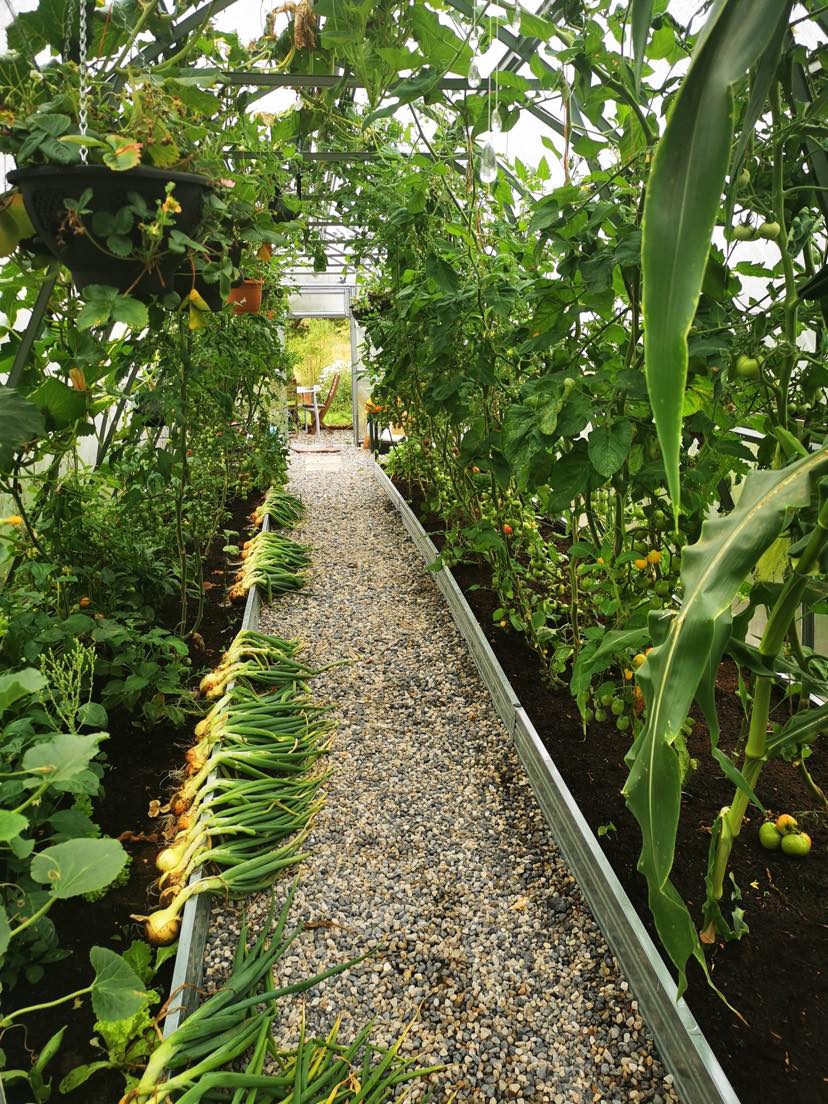 GREENHOUSE SUNGROW, 30M² (3M X 10M; 9.8FT X 33FT)