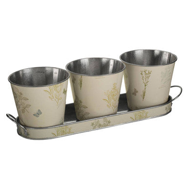 Jardin Set Of Three Pots On Oblong Tray